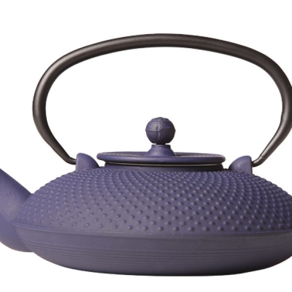 Nara cast iron teapot. Blue.